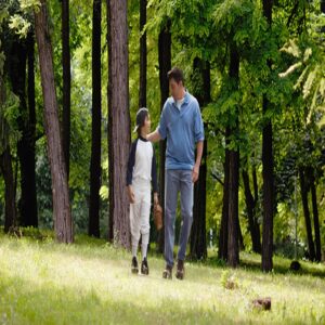 Lush-green-landscape-desk